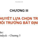 Lý thuyết lựa chọn trong môi trường bất định