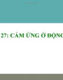 Bài giảng Sinh học lớp 11 bài 26 + 27: Cảm ứng ở động vật