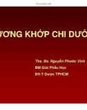 Bài giảng: Xương khớp chi dưới