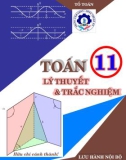 Tổng hợp Lý thuyết và trắc nghiệm Toán lớp 11: Phần 1 - Doãn Thịnh