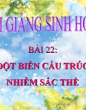 Bài giảng Sinh học 9 bài 22: Đột biến cấu trúc nhiễm sắc thể