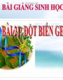 Bài giảng Sinh học lớp 9 bài 21: Đột biến gen