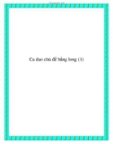 Chọn lọc một số bài ca dao chủ đề bằng lòng