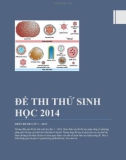 Đề thi thử môn Sinh học năm 2014