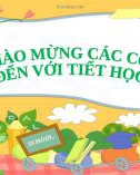 Bài giảng môn Toán lớp 2 sách Cánh diều - Bài 29: Phép cộng (có nhớ) trong phạm vi 100