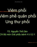 Bài giảng Viêm phổi-Viêm phế quản phổi-Ung thư phổi - TS. Nguyễn Thế Dân