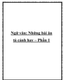 Những bài văn tả cảnh hay – Phần 1