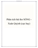 Bài văn mẫu lớp 9: Phân tích bài thơ Sóng Xuân Quỳnh (cực hay)