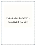 Bài văn mẫu lớp 9: Phân tích bài thơ Sóng Xuân Quỳnh (bài số 5)