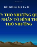 Bài giảng Địa lý 10 bài 17: Thổ nhưỡng quyển. Các nhân tố hình thành thổ nhưỡng