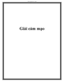 Giải cảm mạo