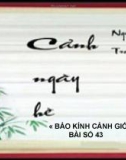 Bài giảng Ngữ văn 10: Cảnh ngày hè - Bảo kính cảnh giới