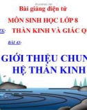 Bài giảng môn Sinh học lớp 8 bài 43: Giới thiệu chung hệ thần kinh