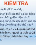 Bài giảng môn Sinh học lớp 9 - Bài 25: Thường biến