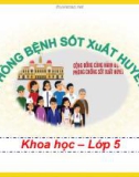 Bài giảng môn Khoa học lớp 5 năm học 2021-2022 - Bài 13: Phòng bệnh sốt xuất huyết (Trường Tiểu học Thạch Bàn B)