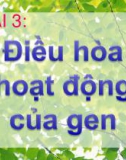 Bài giảng môn Sinh học lớp 12 bài 3: Điều hòa hoạt động của gen