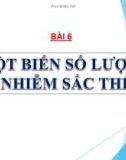 Bài giảng môn Sinh học lớp 12 bài 6: Đột biến số lượng nhiễm sắc thể