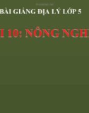 Bài giảng Địa lý 5 bài 10: Nông nghiệp