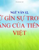 Bài giảng Ngữ văn 12 tuần 2 bài: Giữ gìn trong sáng Tiếng Việt