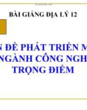 Bài giảng Địa lý 12 bài 27: Một số vấn đề phát triển ngành công nghiệp trọng điểm