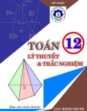 Lý thuyết và trắc nghiệm môn Toán lớp 12 - Lê Doãn Thịnh