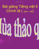 Bài giảng Chính tả: Nghe, viết: Mùa thảo quả - Tiếng việt 5 - GV.N.T.Hồng