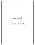 Văn mẫu lớp 9: Cảm nghĩ về bản sắc văn hóa Việt Nam