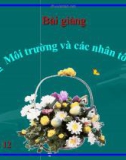 Bài giảng Sinh học 12 bài 35: Môi trường sống và các nhân tố sinh thái