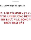 Bài giảng Địa lý 6 bài 27: Lớp vỏ sinh vật. Các nhân tố ảnh hưởng đến sự phân bố thực, động vật trên Trái Đất