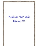 Nghề nào 'hot' nhất hiện nay???