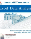 Excel Data Analysis P1