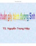 Bài giảng Vi khuẩn gây bệnh đường tình dục - TS. Nguyễn Trọng Hiệp