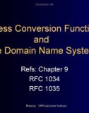 Address Conversion Functions and The Domain Name System