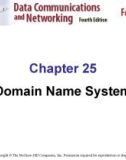 Chapter 25 Domain Name System