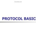 PROTOCOL BASICS