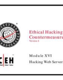 Ethical hacking and countermeasures - phần 16