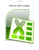 MS Excel - Bài 9: Graphics