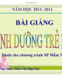 Bài giảng Dinh dưỡng trẻ em: Chương III (P2) - GV. Thân Thị Diệp Nga