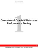 Overview of Oracle9i Database Performance Tuning