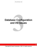 Database Configuration and I/O Issues