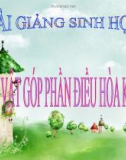 Bài giảng Sinh học 6 bài 46: Thực vật góp phần điều hòa không khí