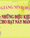 Bài giảng Sinh học 6 bài 35: Những điều kiện cần cho hạt nảy mầm