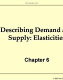 Describing Demand and Supply: Elasticities