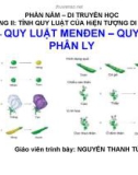 Giáo án điện tử sinh học: Sinh học lớp 12- Quy luật phân li độc lập -Sinh học 12- Cơ bản