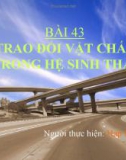 Giáo án điện tử sinh học: Sinh học lớp 12-