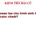 Giáo án điện tử sinh học: Sinh học lớp 12- Dòng năng lượng trong HST và hiệu suất sinh thái 1