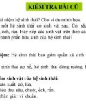 Giáo án điện tử sinh học: Sinh học lớp 12- Trao đổi vật chất trong hệ sinh thái