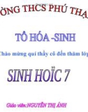 Giáo án điện tử môn môn sinh học: sự đa dạng của lớp nhện_2