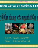 Giáo án điện tử môn môn sinh học: đặc điểm chung của loài thân mềm