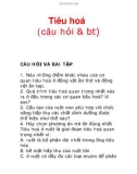 Tiêu hoá (câu hỏi & bt)